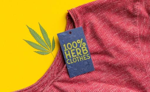 'Cutting a Dash' with Eco Friendly Clothing